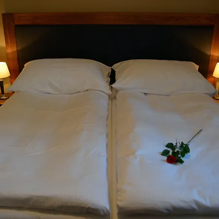 U Kvapilu Hotel