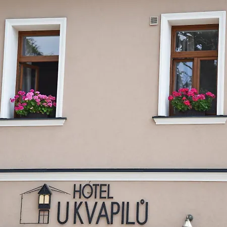Hotel U Kvapilu 4*