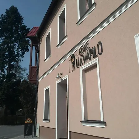 Hotel U Kvapilu