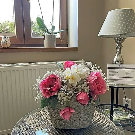 U Kvapilu Hotel Mnichovo Hradiště