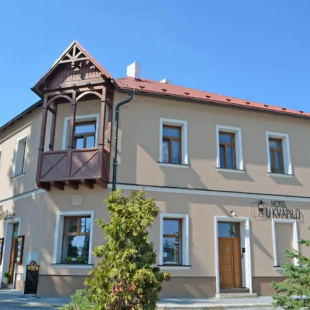 Hotel U Kvapilu Mnichovo Hradiste