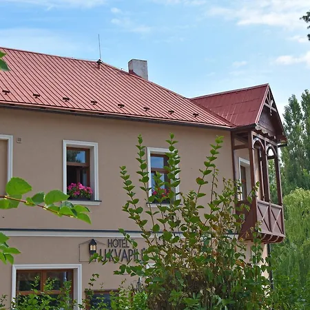酒店 U Kvapilu 4*