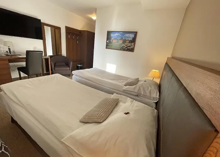 Hotel U Kvapilu 4*